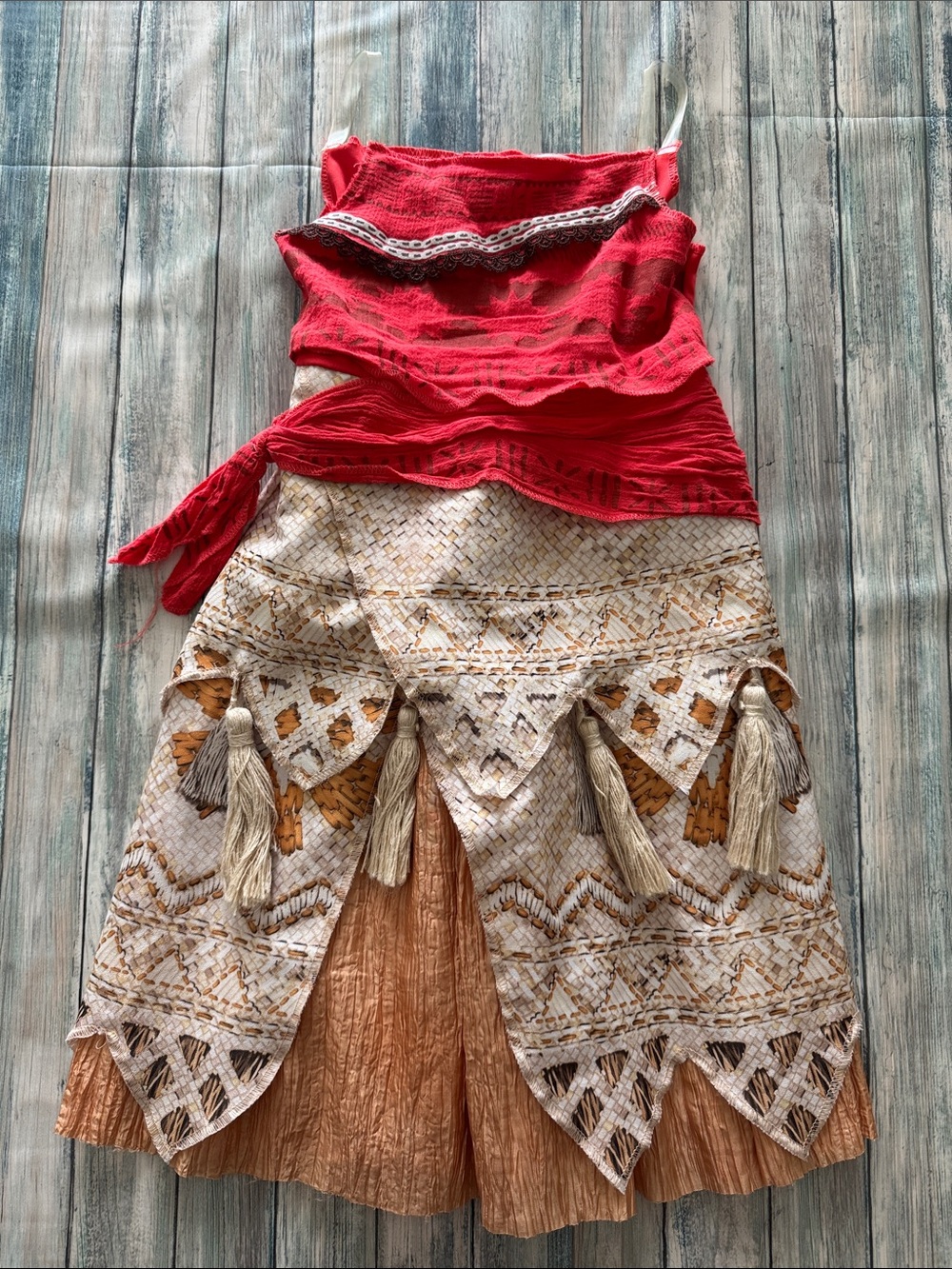 Disney Moana Costume (Sz: Small 4-6X)